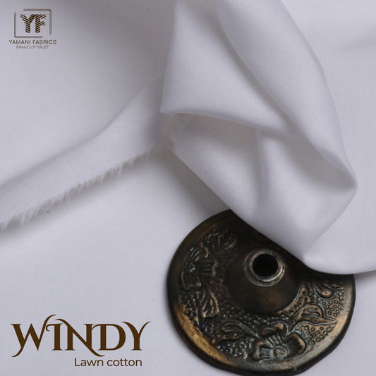 Windy 2